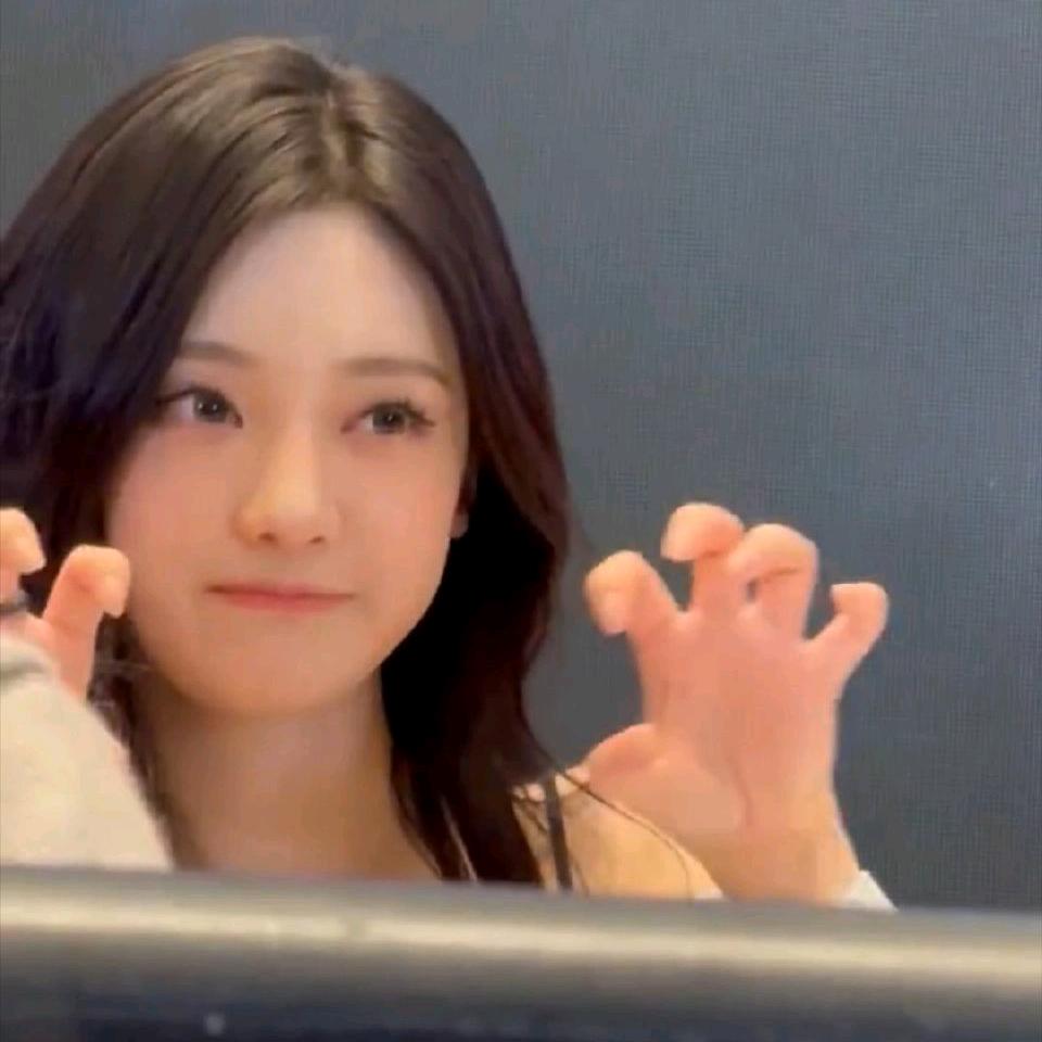 杰妮龟龟