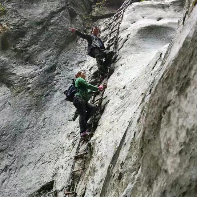 a老牛