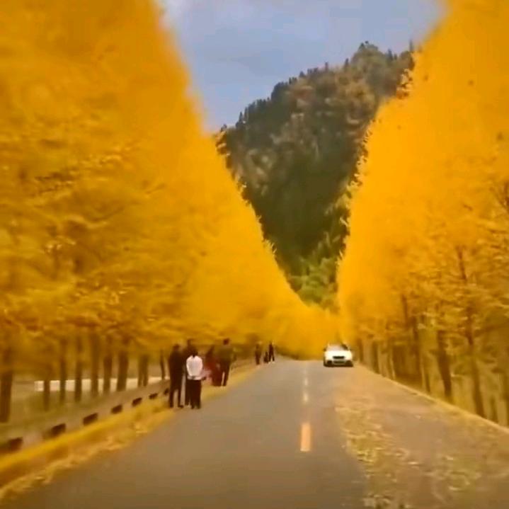 沉默