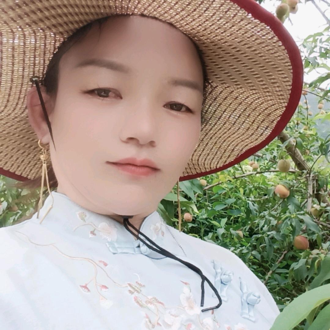 农村小杨