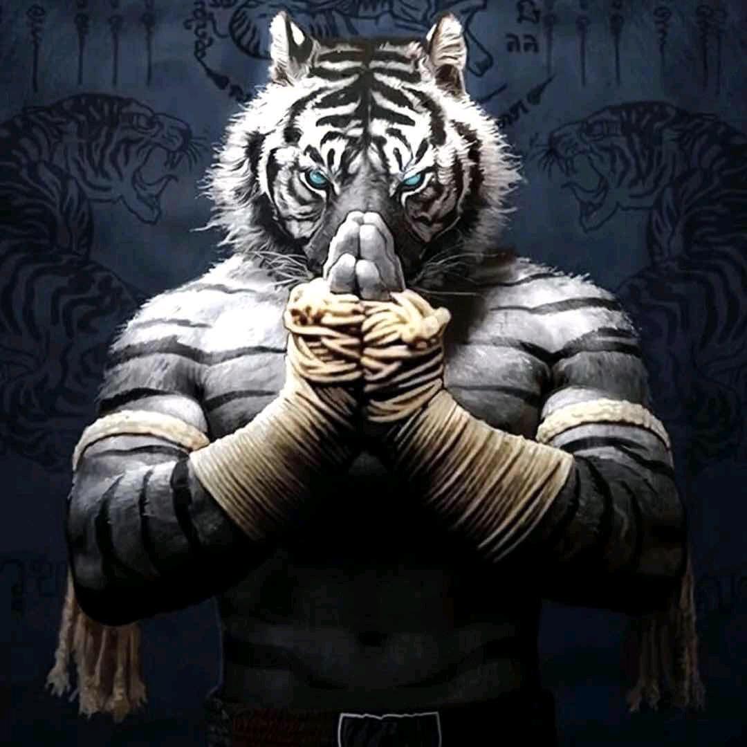 ༺༒龙袍༒༻