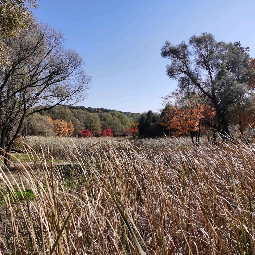 记人之善，忘人之过（赵勇逢）