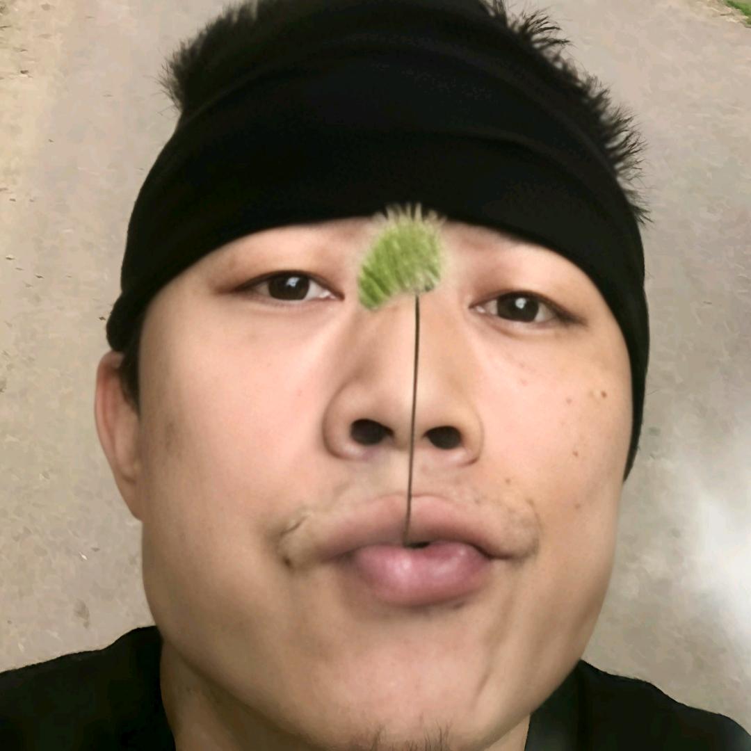 我不是宋冬野🎸