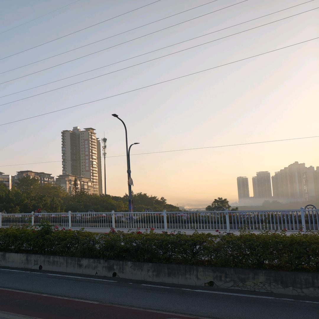 木木木木木木木木