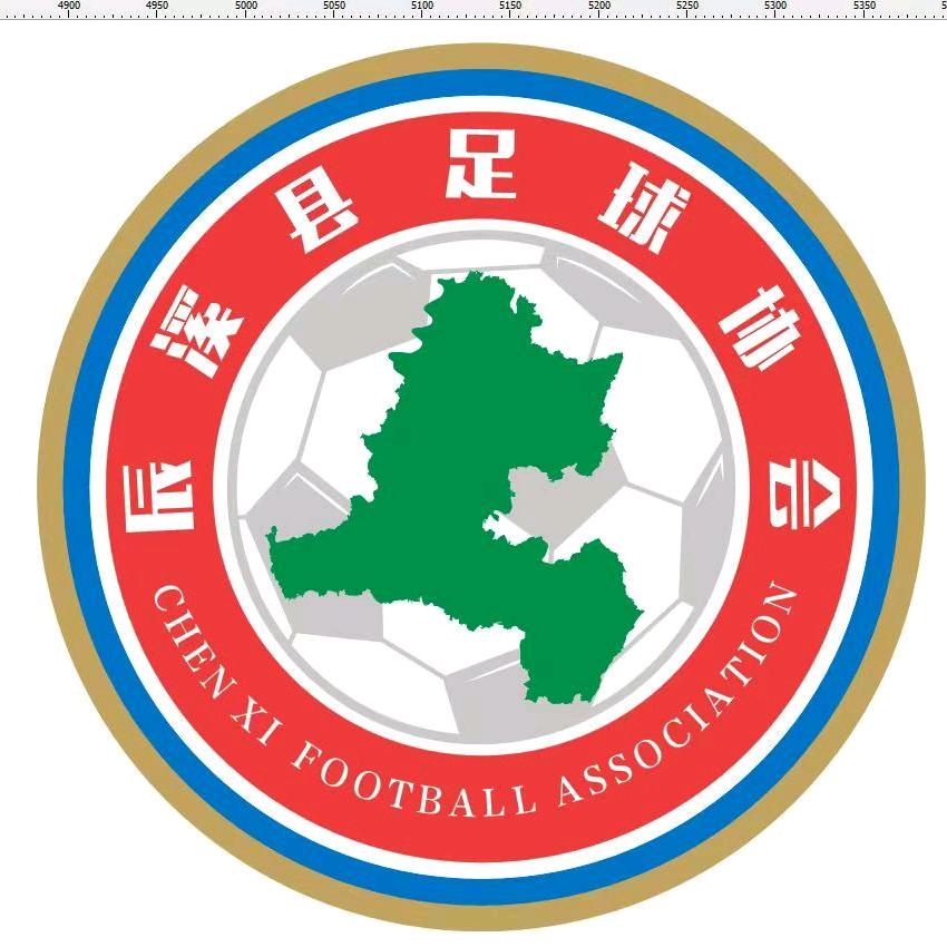 辰溪县足球