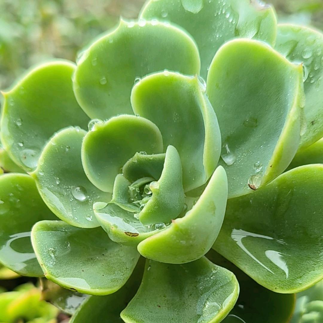 飘渺尘埃