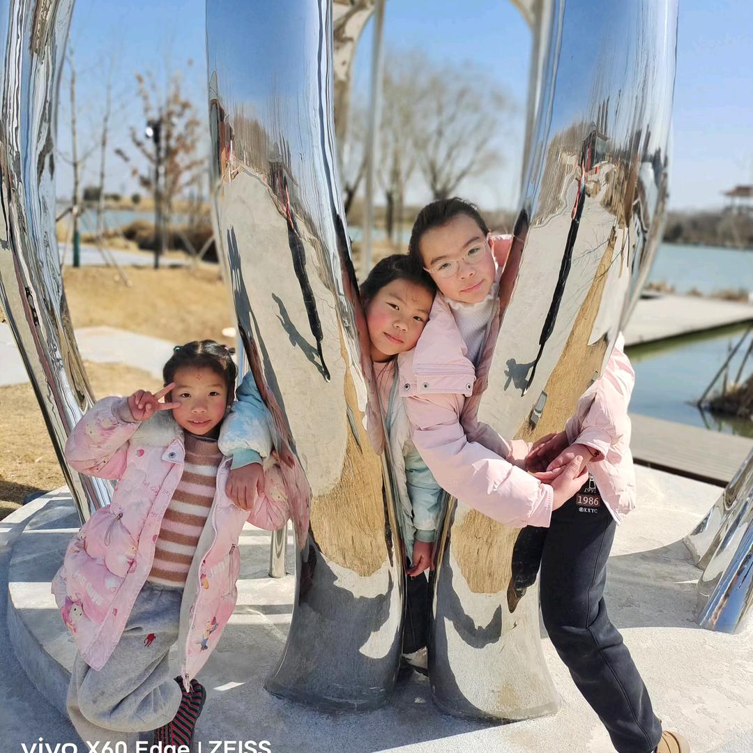 林场、金点造型