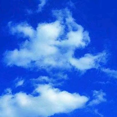 潇洒人生［Singer Ⅱ]