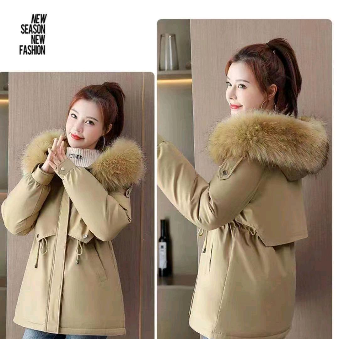 财源广进《服装》