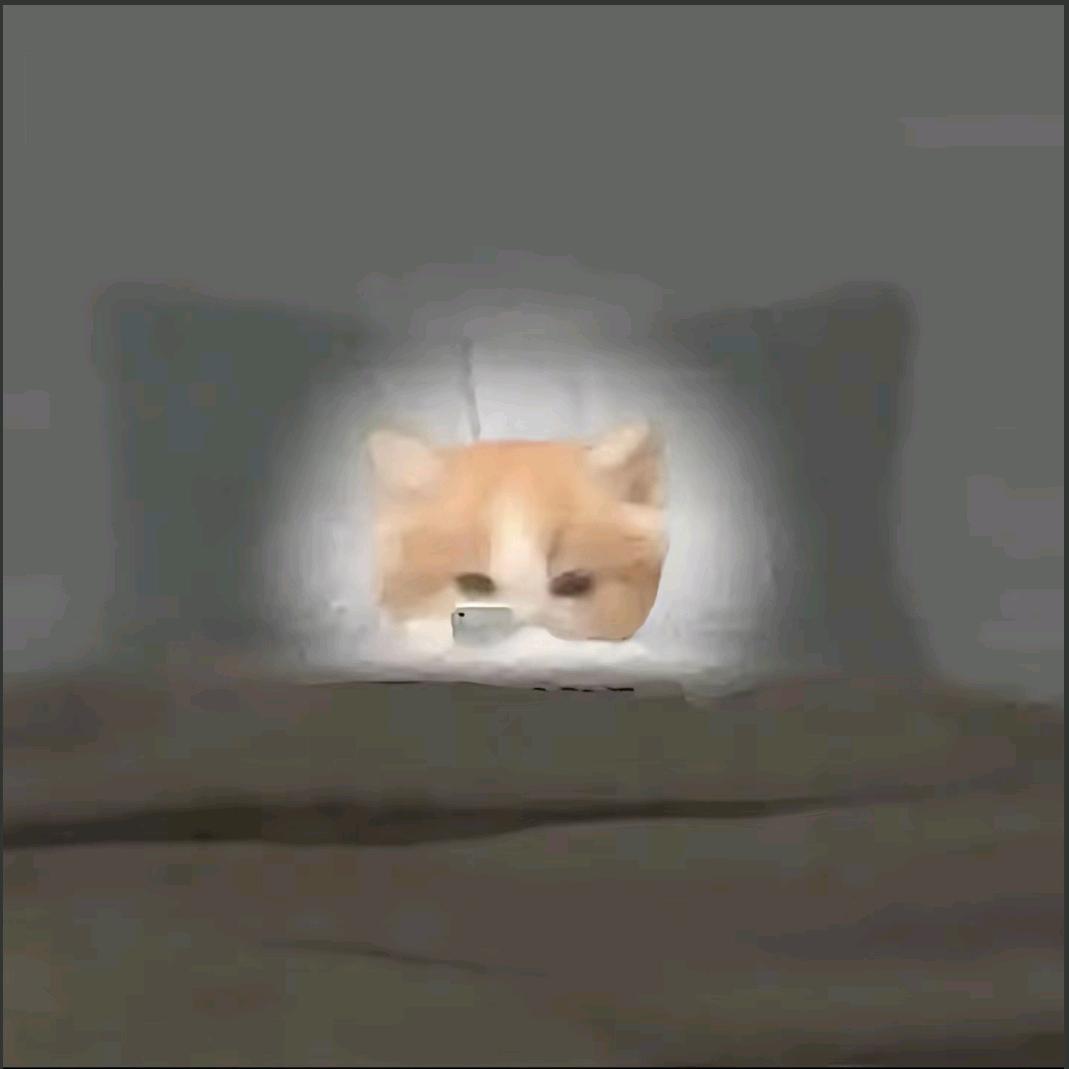 普通入`扎基