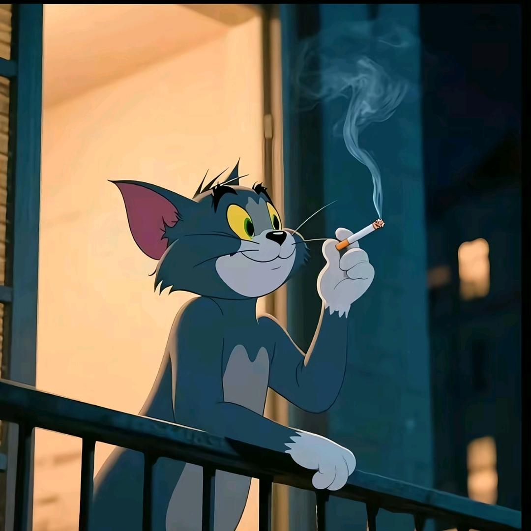 会煮酸菜的鱼