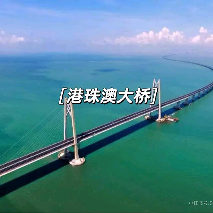 大湾区乌鸦哥