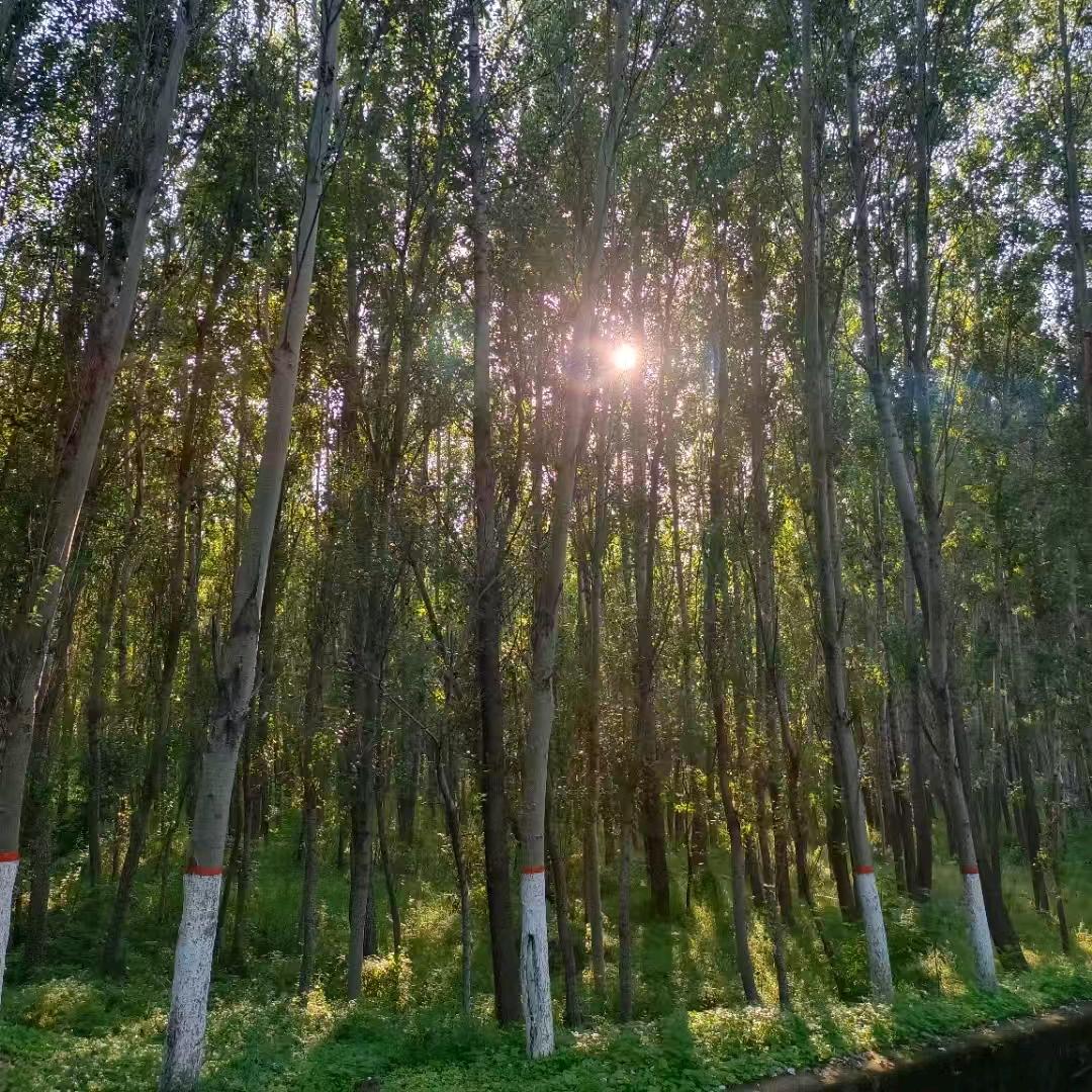 用户4370247230700