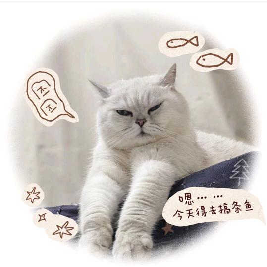 黑白籽