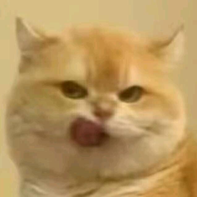 四季都很好，你若尚在场٩( 'ω' )و