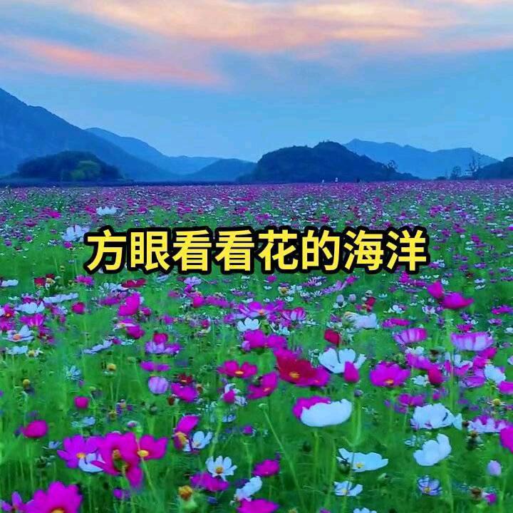 快乐人生男马得功爱听唇