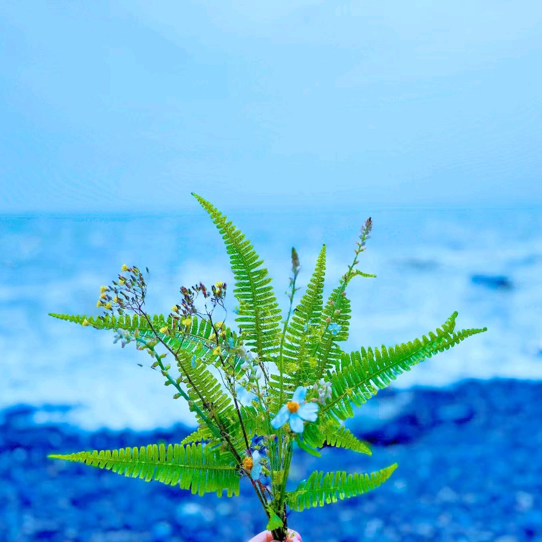 🥀ꦿ꯭星辰大海💞꧔ꦿ᭄