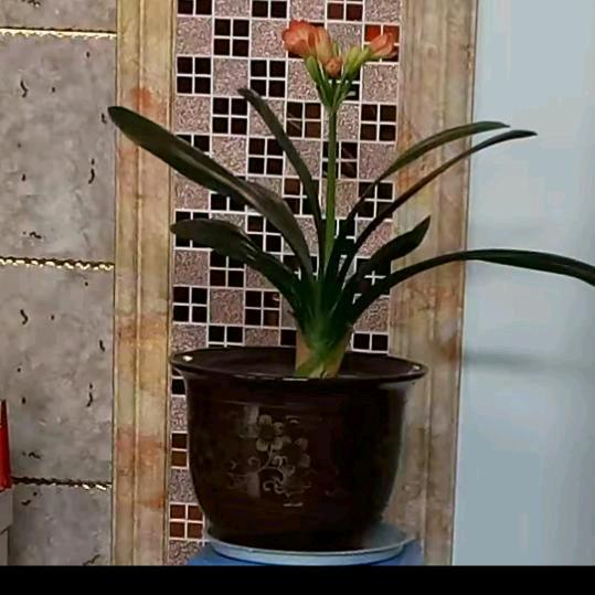 温暖的家庭❤️