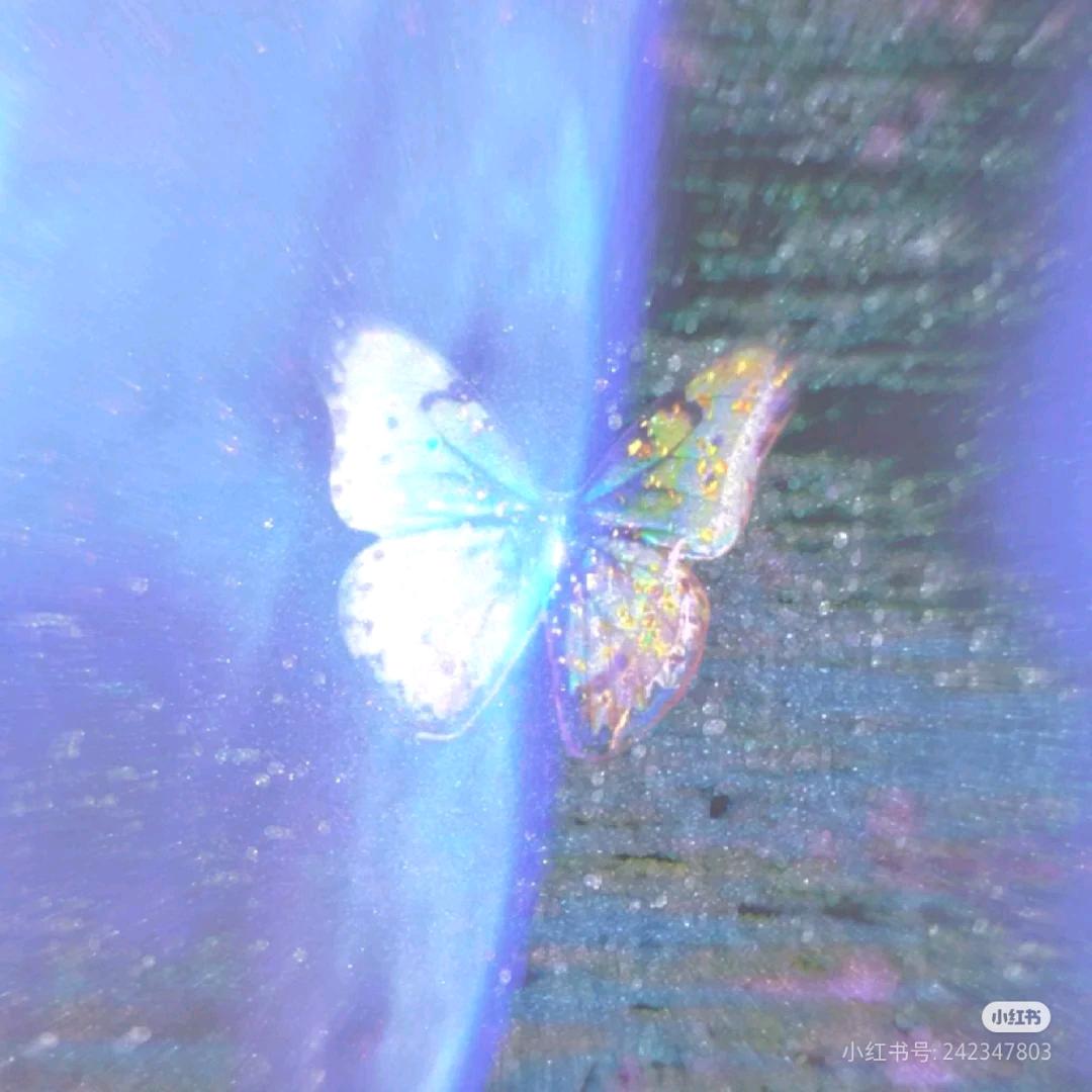 🦋..