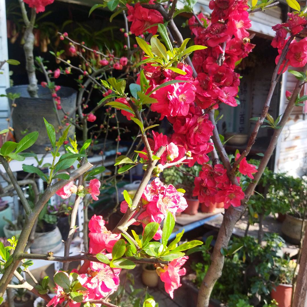 永远不忘记你。