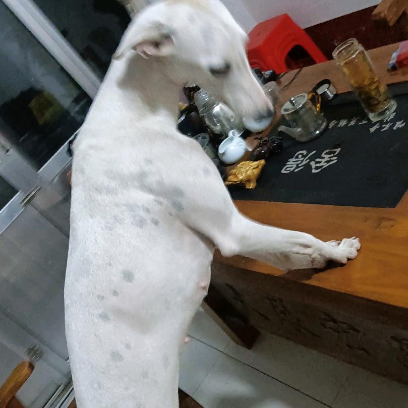 我就是个种地的