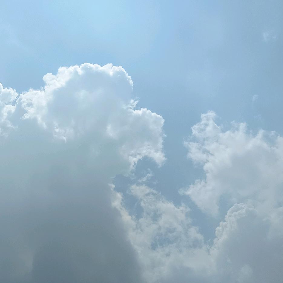 🇨🇳随缘❤️