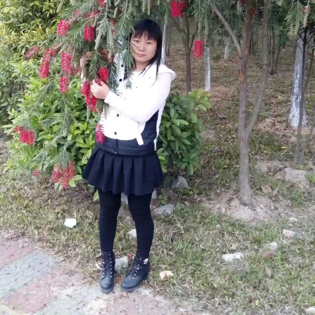 蒲公英