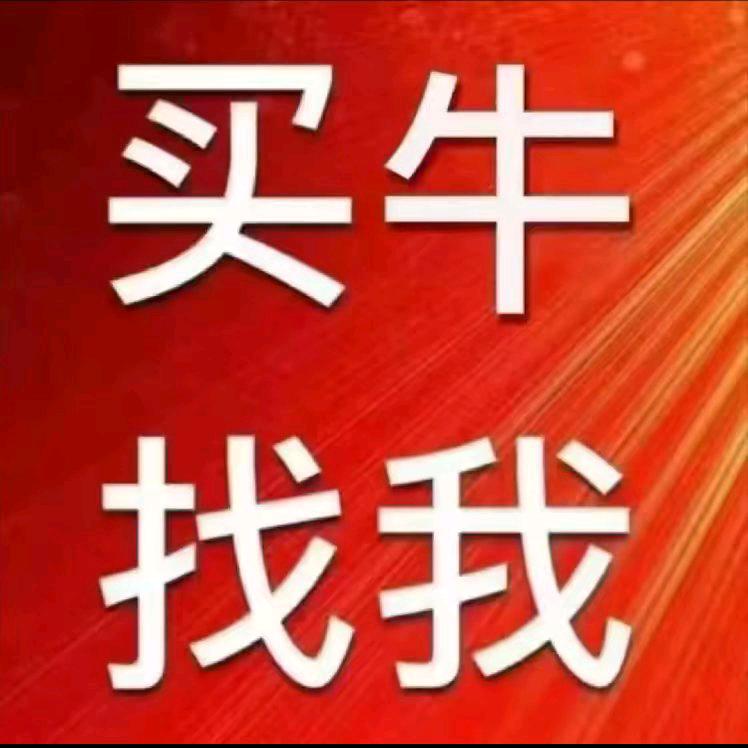 养牛人♥小楊