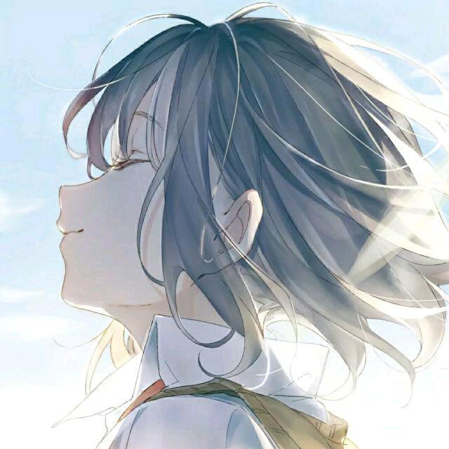 清风泪