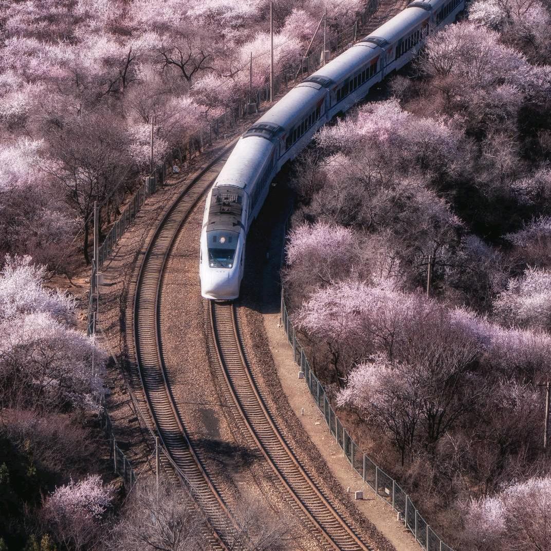 天相财富+财经老孔