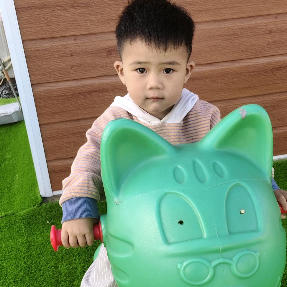 杨妮妮