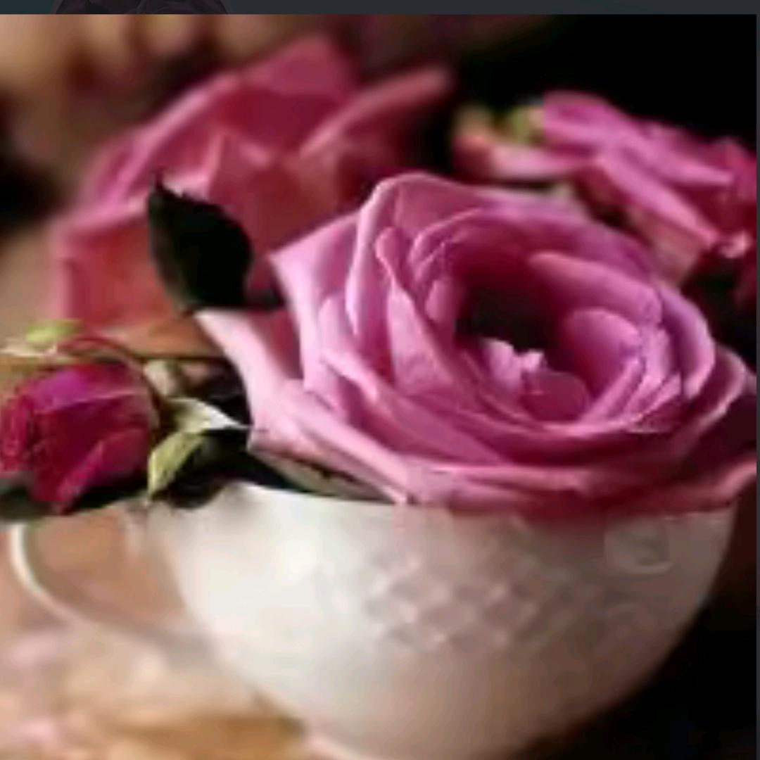 🌺相濡以沫💍