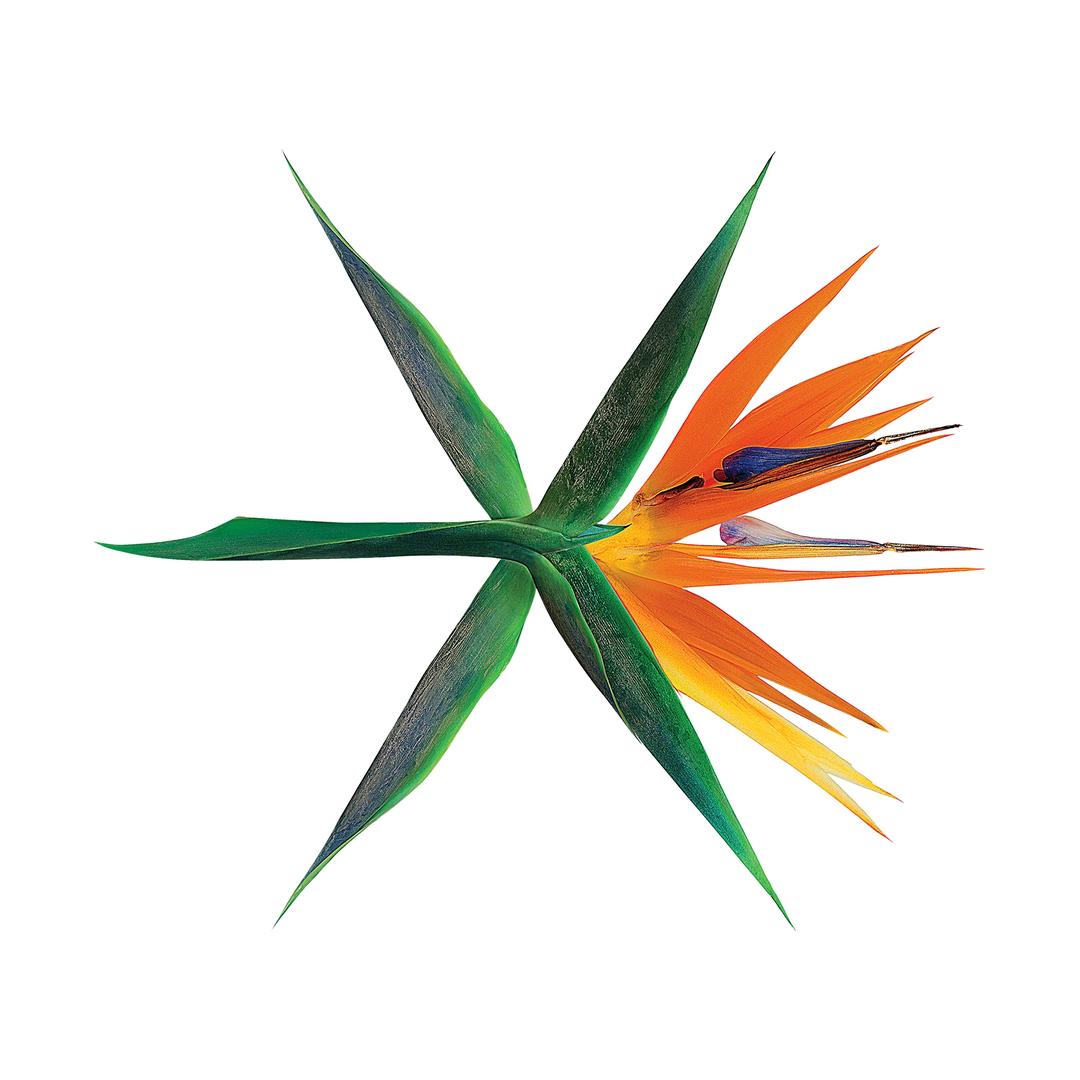 kai
