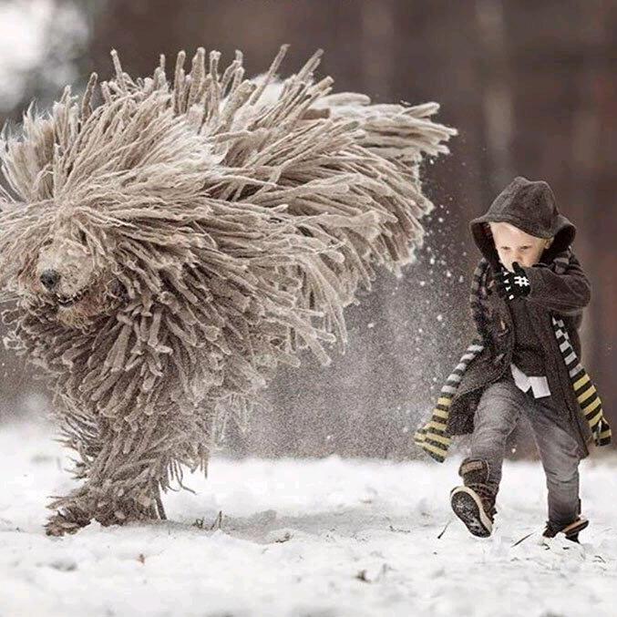 语言永远都有弊端