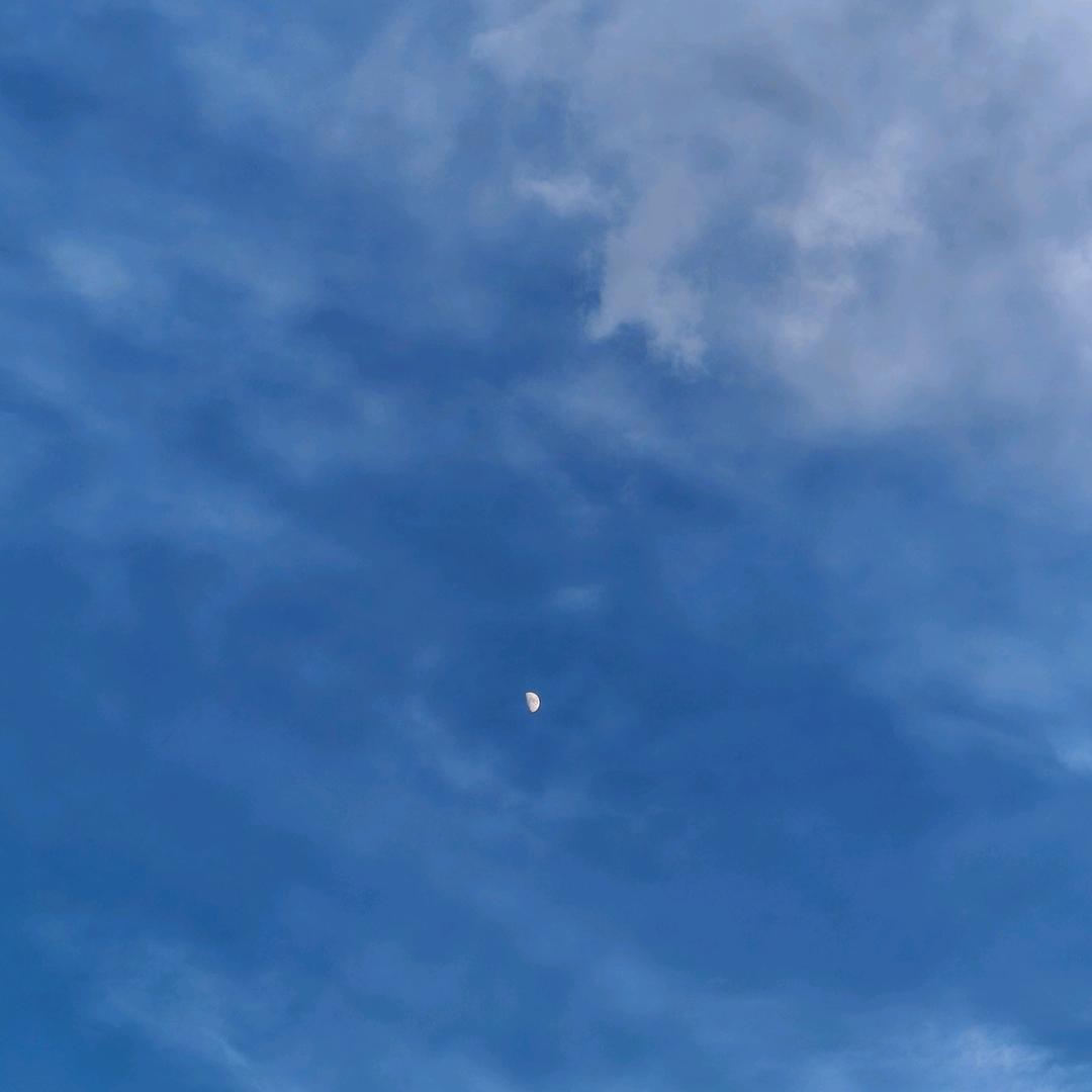 影雪莲湖