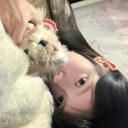 菜不在