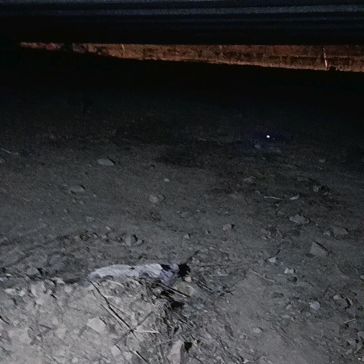 曲终人散。。。。