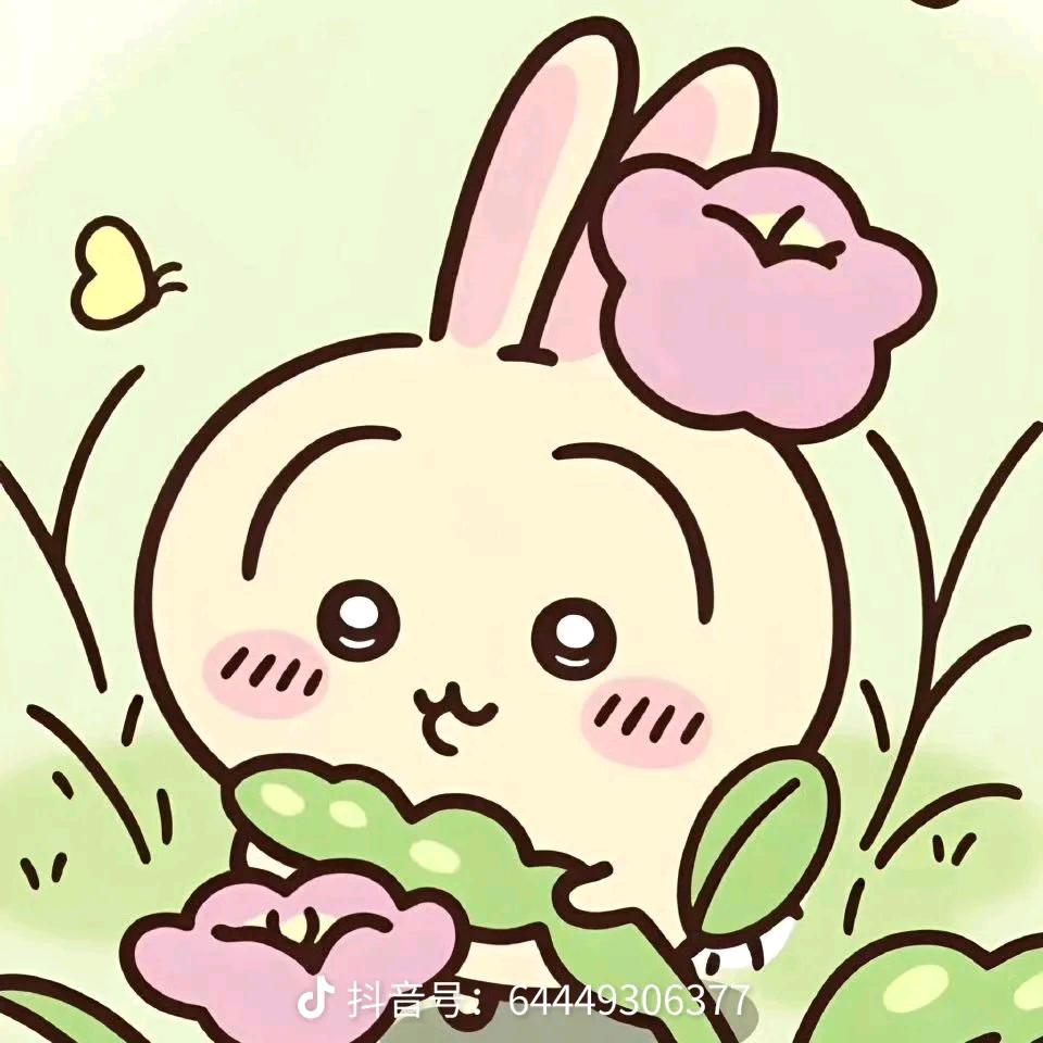 乌萨奇