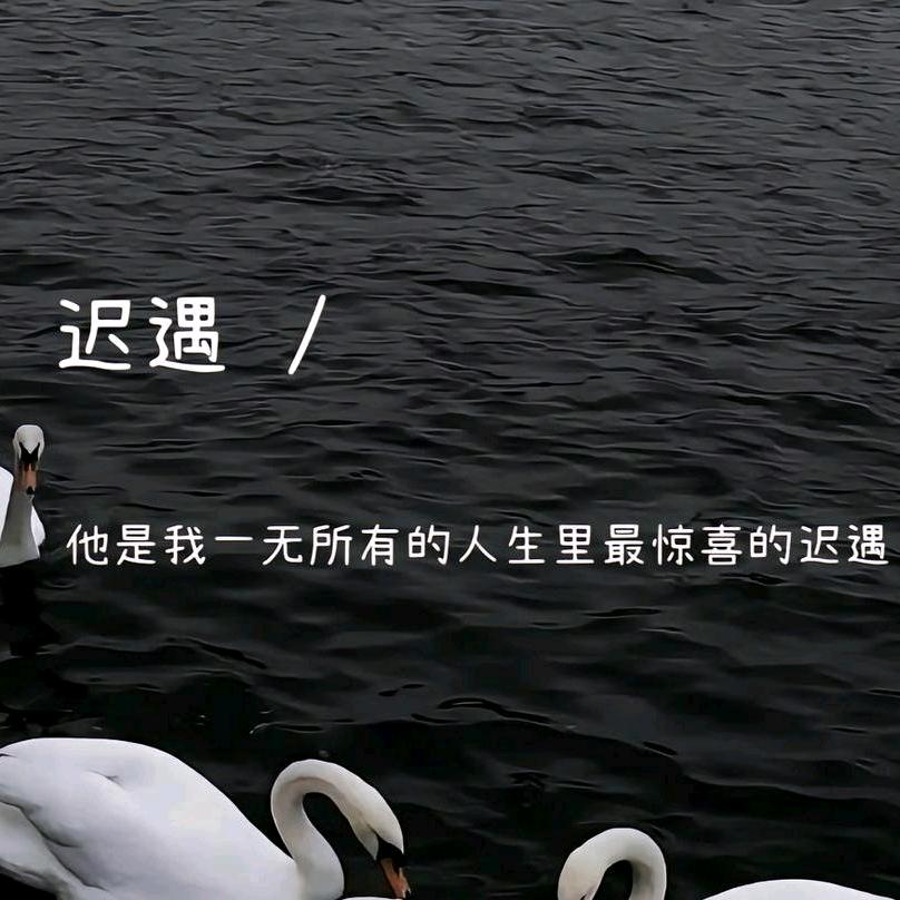 迟遇……