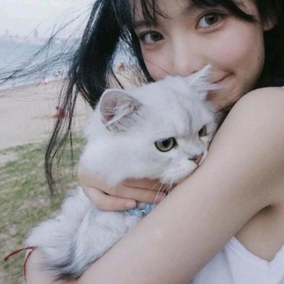 又矫情了