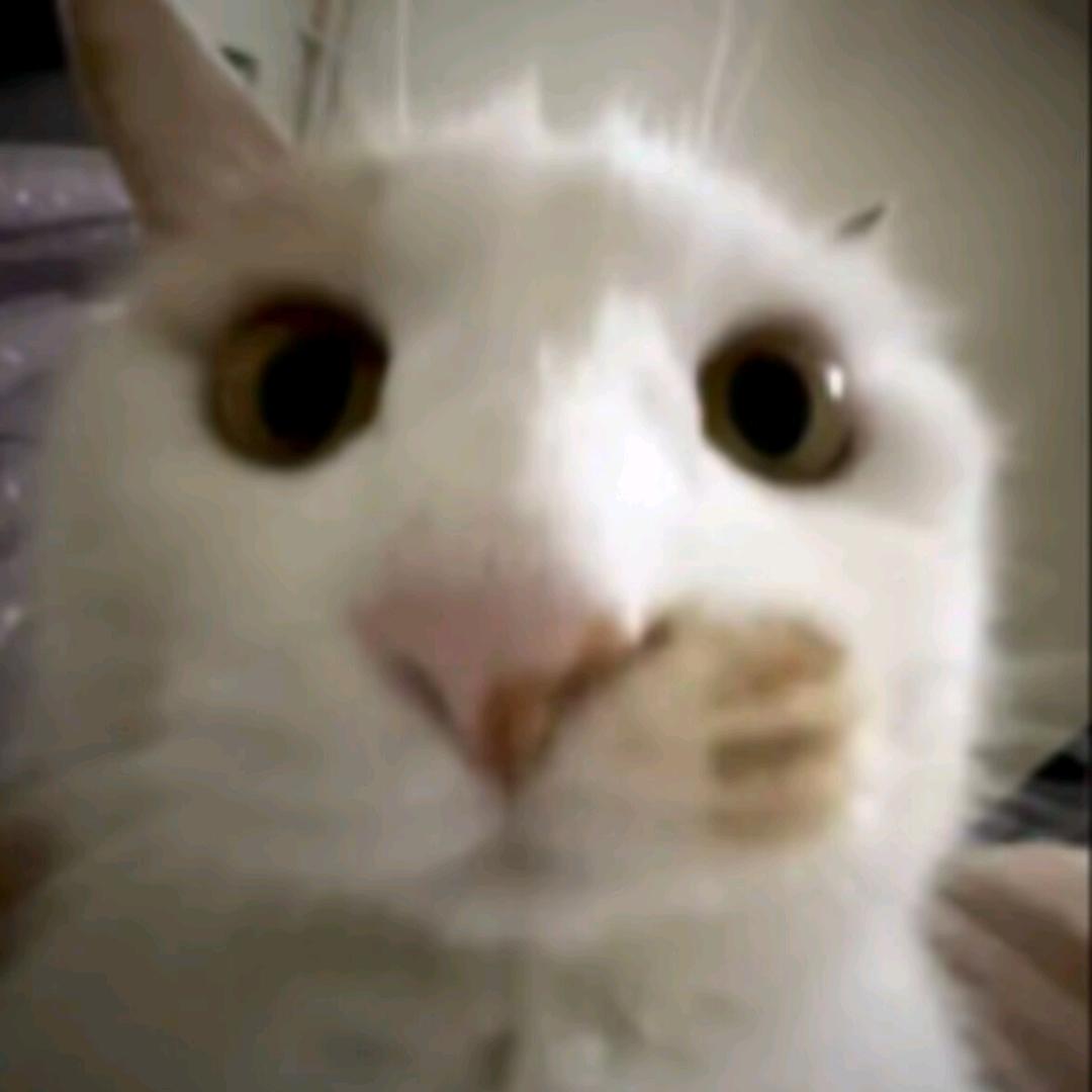 清水ღ
