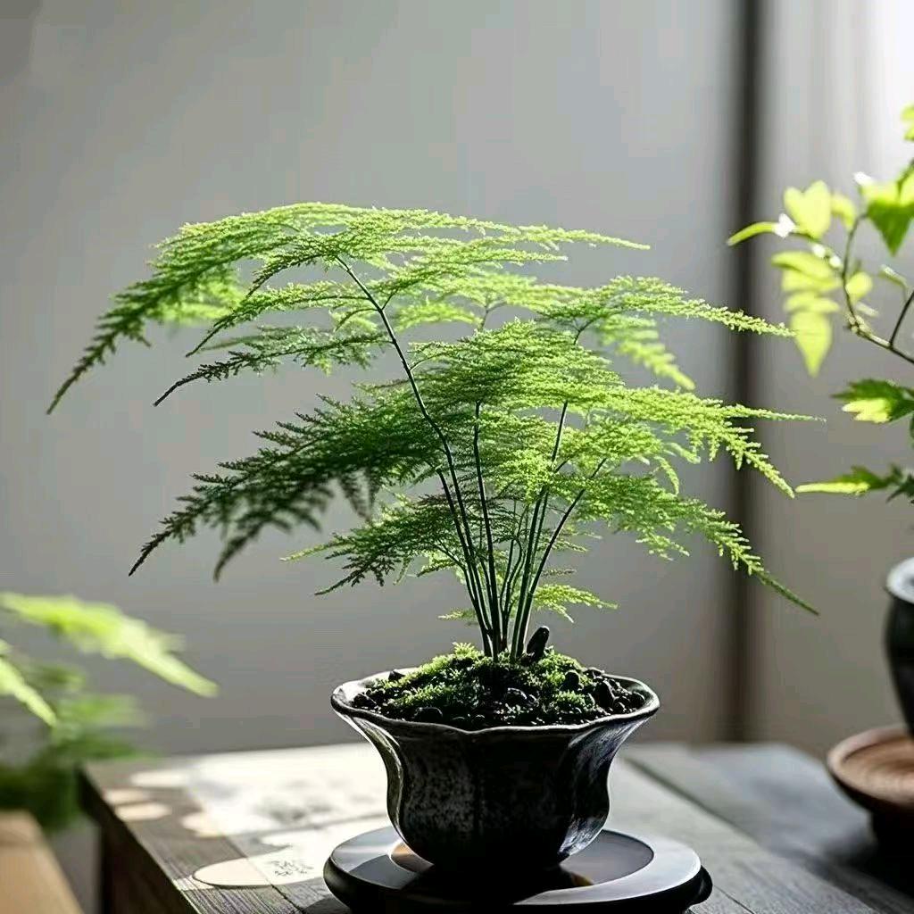 快乐