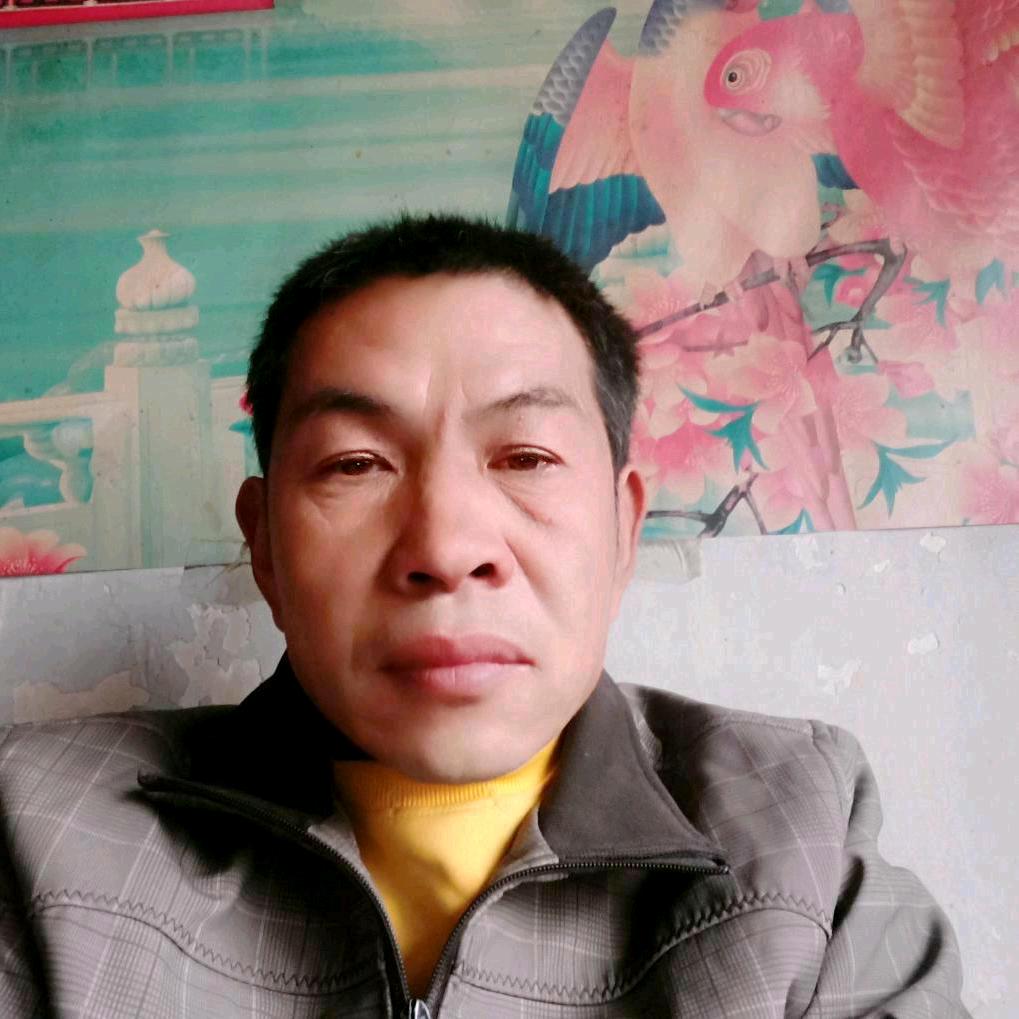 刘金利
