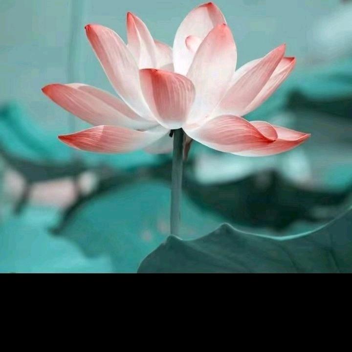 阳光，