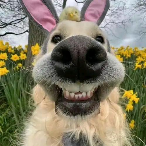 🐟生ིྀོ只ℒᎭℯy你ꦿ᭄࿐