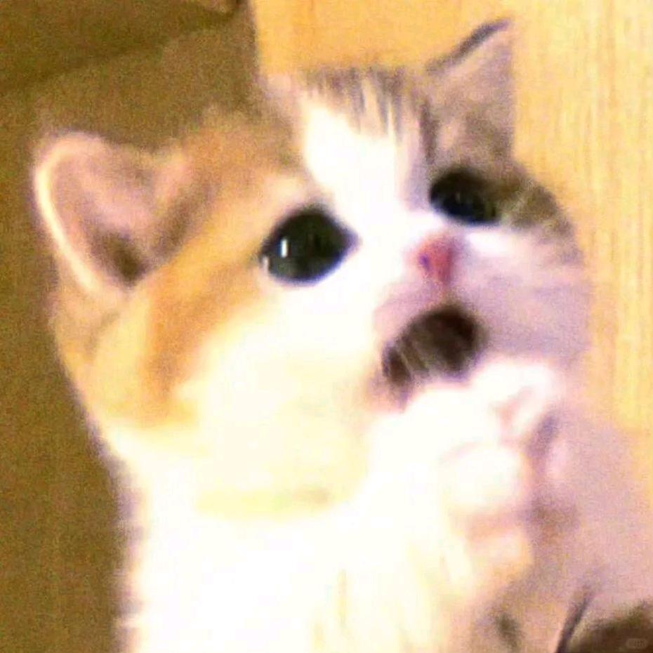 ..⁵