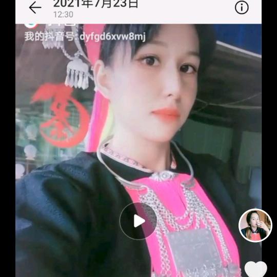 蟒蛇箐，高杆古树乔木茶，