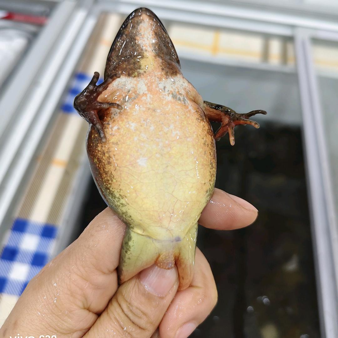 满盈农副产品精选店