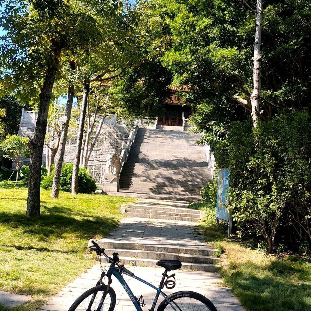 无际原野