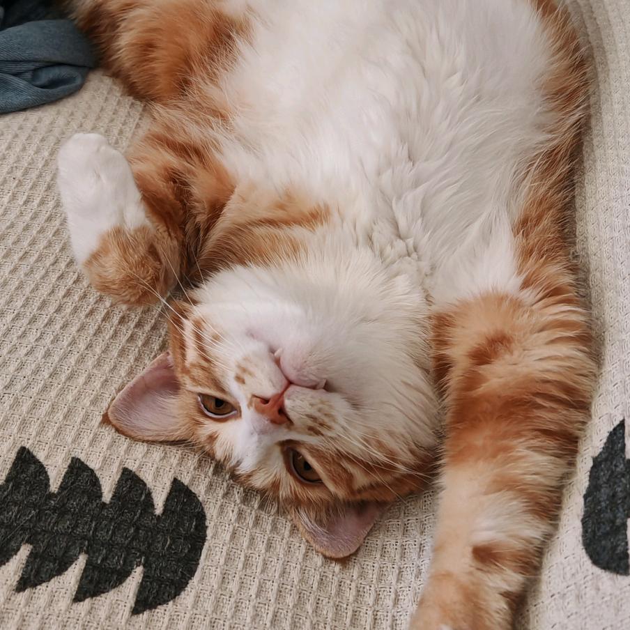 宇宙无敌大溜子